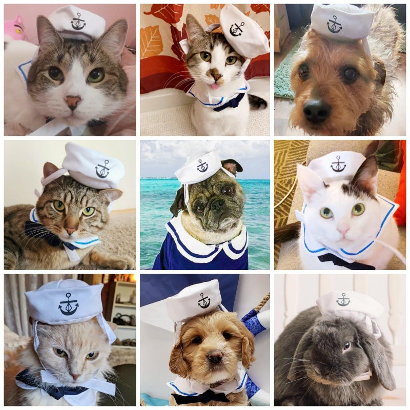 NAMSAN Pet Sailor Costume for Cats Small Dogs, Cat Halloween Costumes, Small Dog Sailor Outfit, Cat Sailors Hat with Tie Collar, Pet Navy Costume for Kitten Puppy Statue Decoration - Image 4